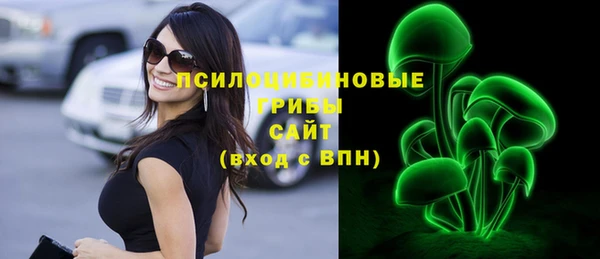 прущая мука Осташков