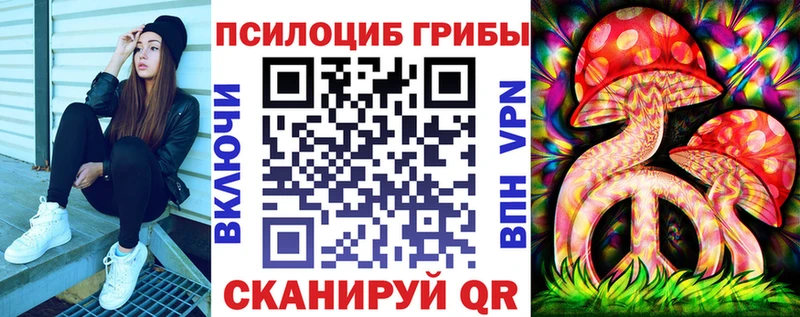 OMG   как найти закладки  Белая Калитва  Псилоцибиновые грибы Psilocybe 